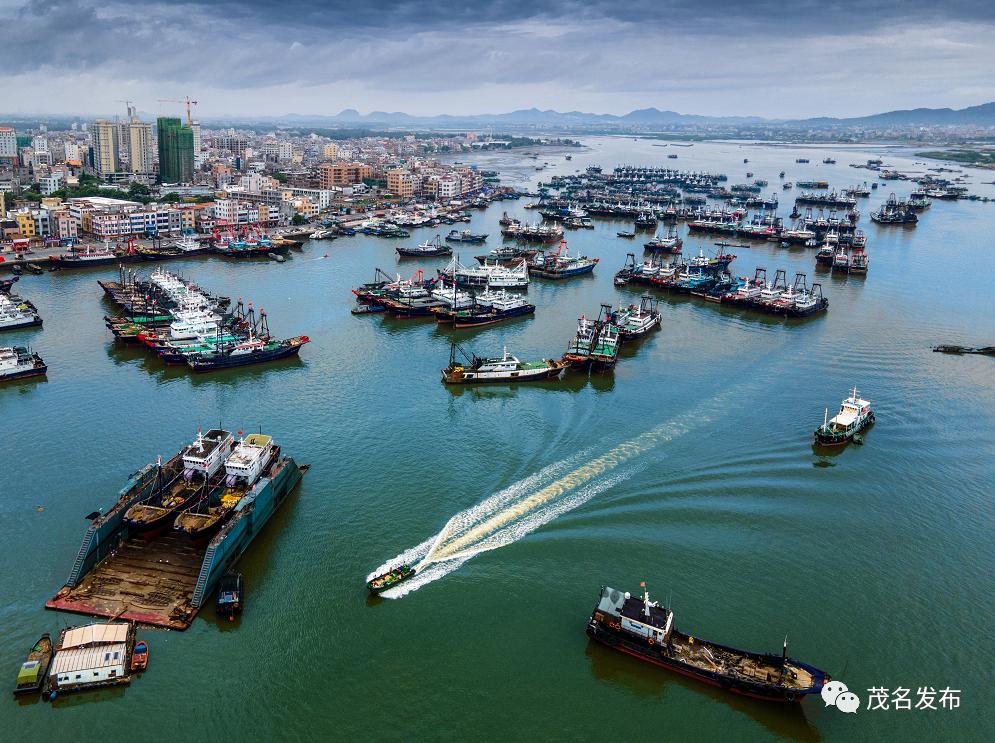 "一帆风顺 满仓而归!"茂名开渔啦,博贺渔港处处繁忙!