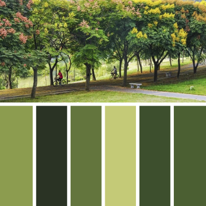 梁剑峰 摄 绿色,是生命的颜色.