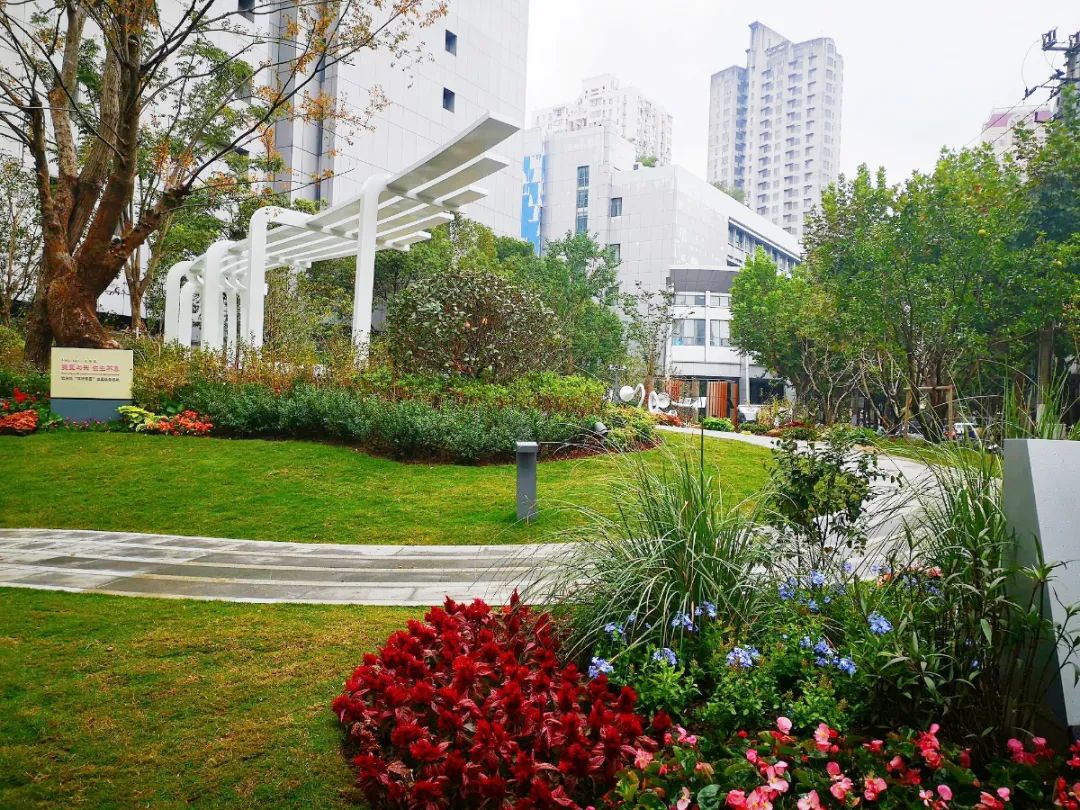 街心花园①用音乐语言重塑绿化空间音花园