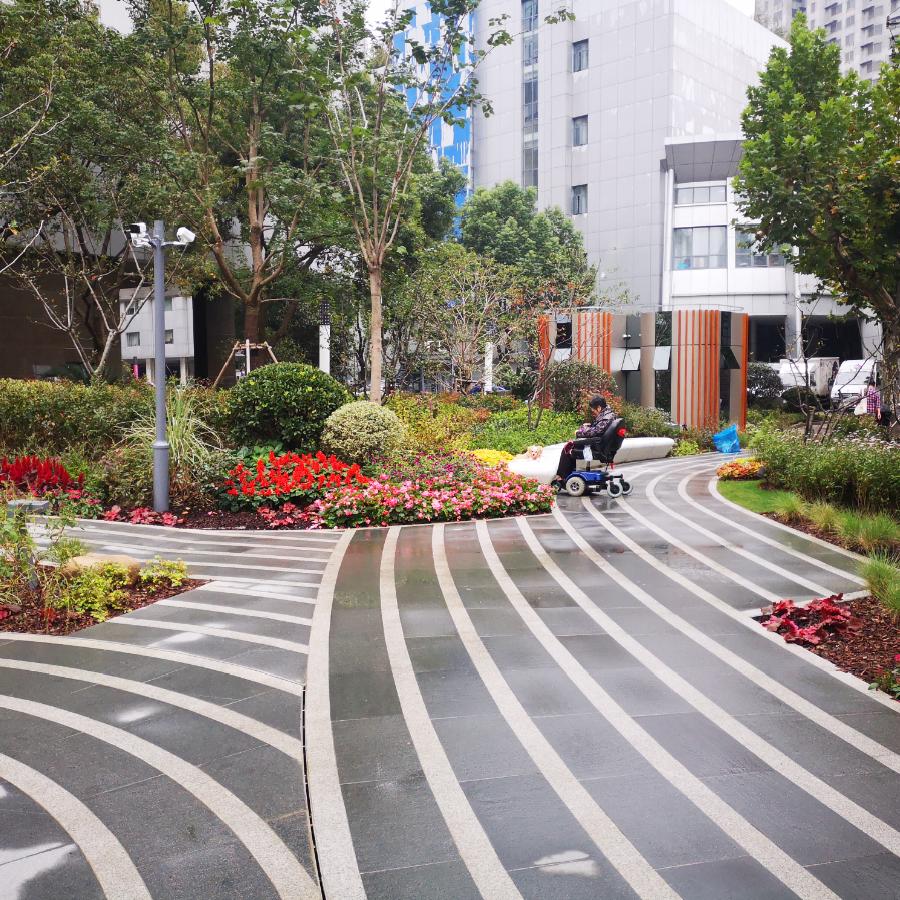 街心花园①用音乐语言重塑绿化空间音花园