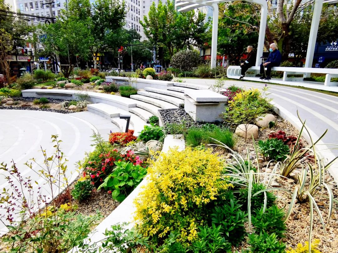 街心花园①用音乐语言重塑绿化空间音花园