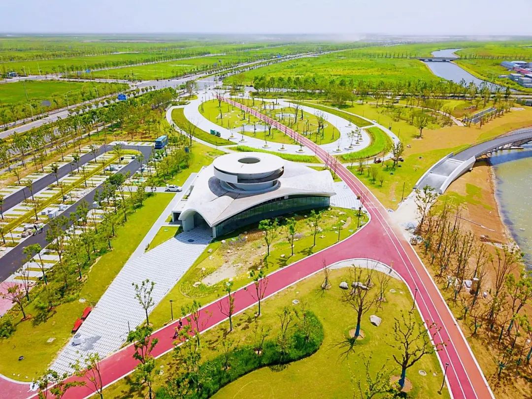 会呼吸的星空之境中建集团打造上海最大海绵公园