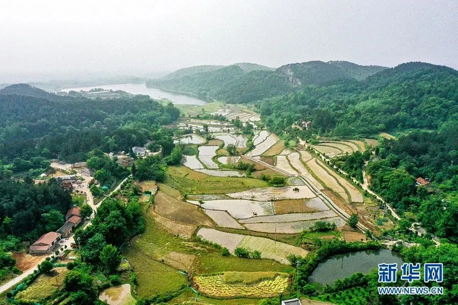 安陆市雷公镇白兆村:远在深山有来客