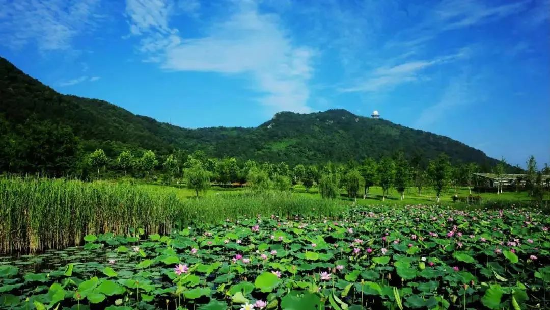 云游溧水你动心了吗