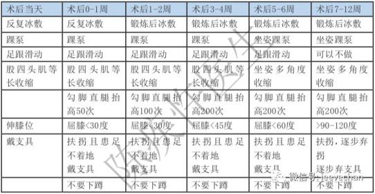 不要急,贴心的陈医生已经帮大家做好了康复计划时间表,只要大家认真