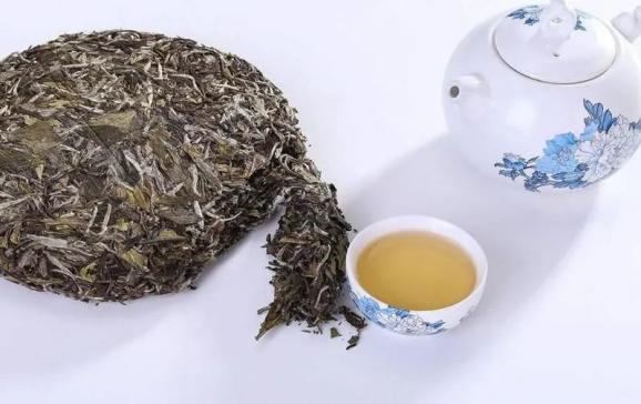 茶科普|白茶是如何發揮抗炎作用的?