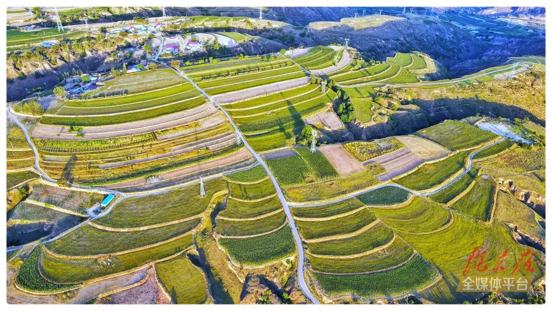 环县莽原奔腾沃野平畴