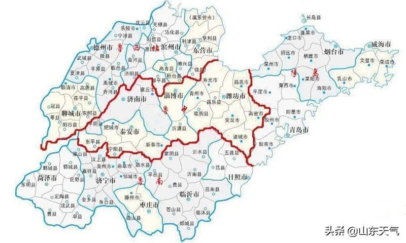 山东济宁大凤简介图片