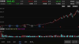 大幅减持，27倍大牛股3天暴跌17%，高瓴正在“收网”？