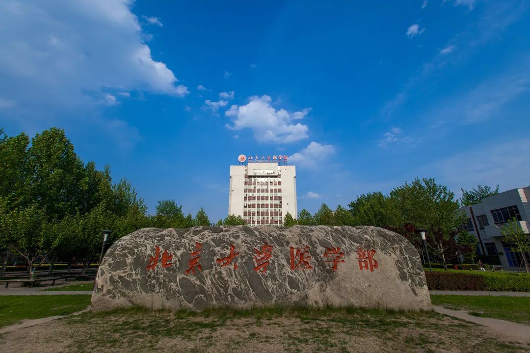 北京大学医学部壁纸图片