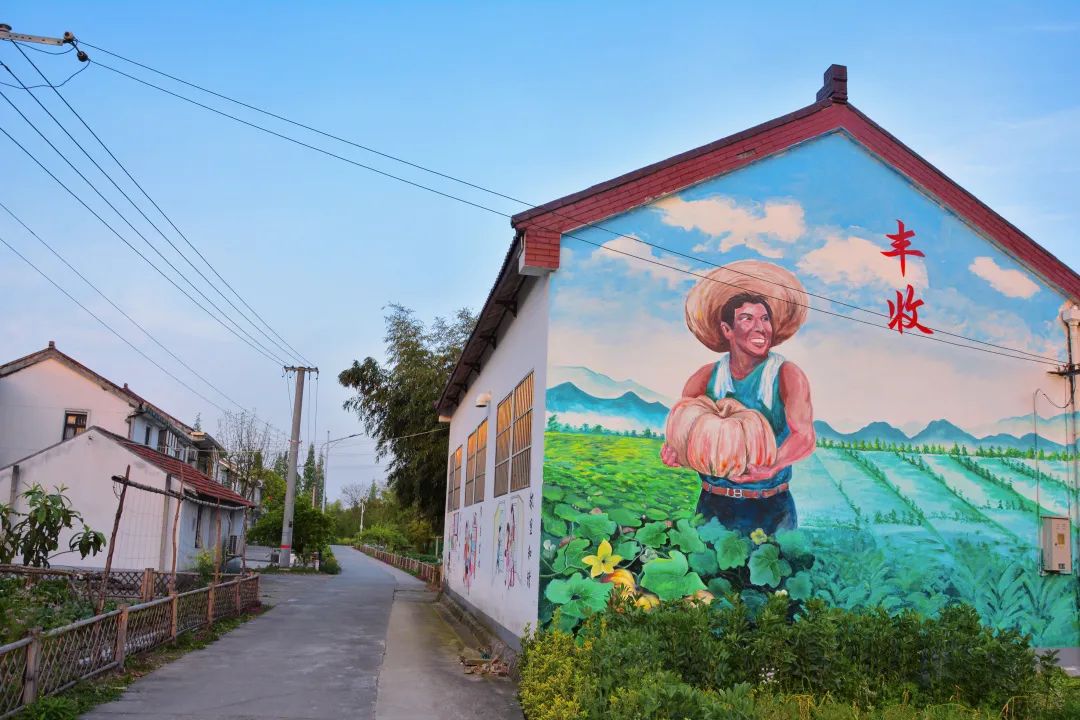 青浦乡村的墙绘美翻了