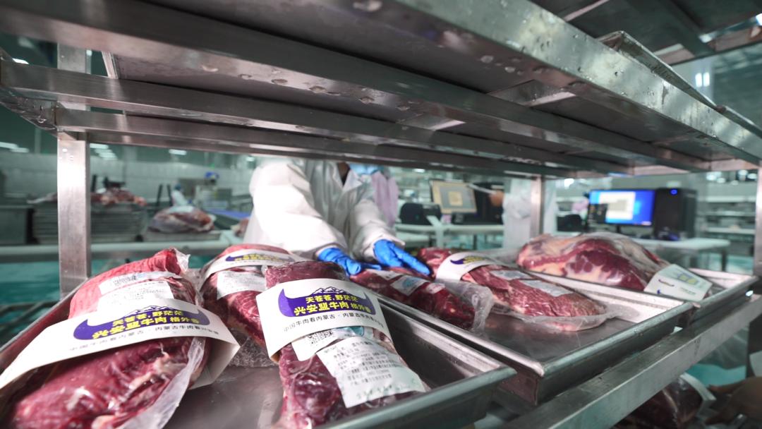 绿丰泉牛羊冷链加工中心全力以赴忙生产