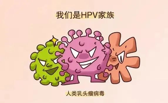 hpv检查tct宫颈健康的左右护法谁更胜一筹