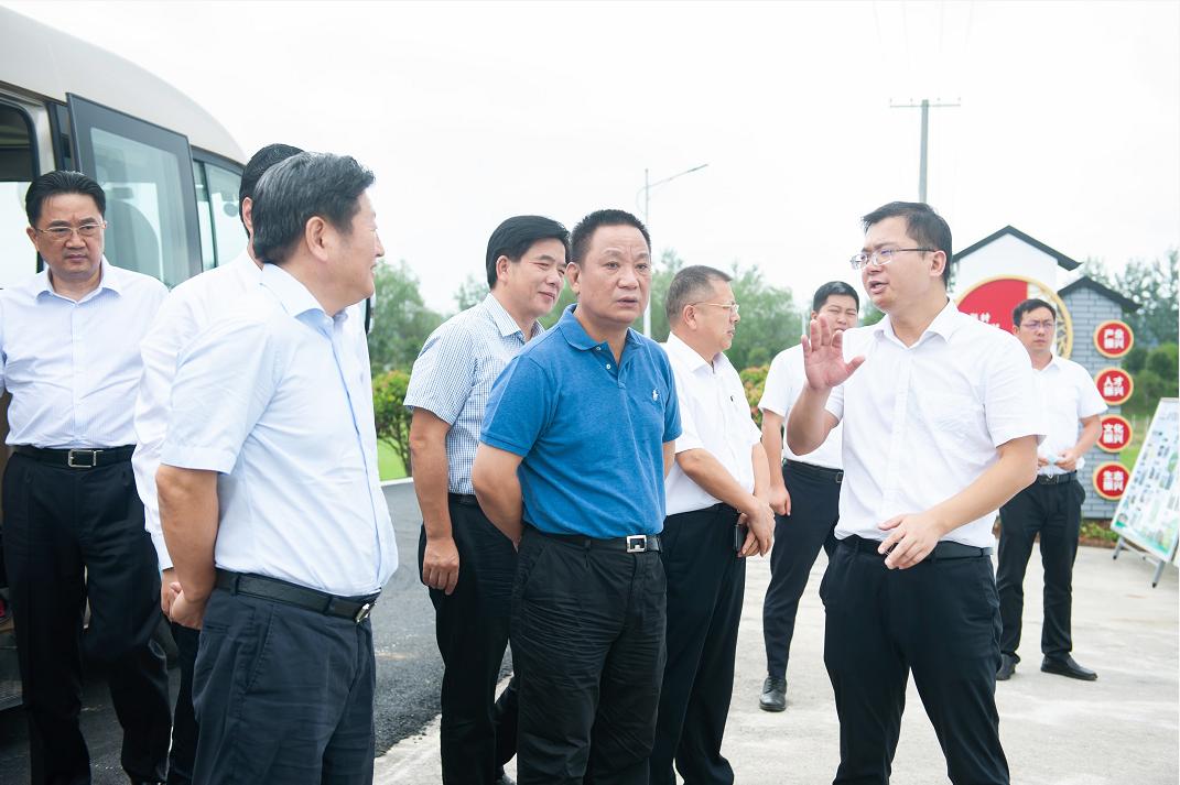 钟钢带队到宁乡市流沙河镇调研乡村振兴工作