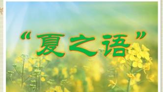 著名作家、散文家秋实“夏之语”系列——白杨树