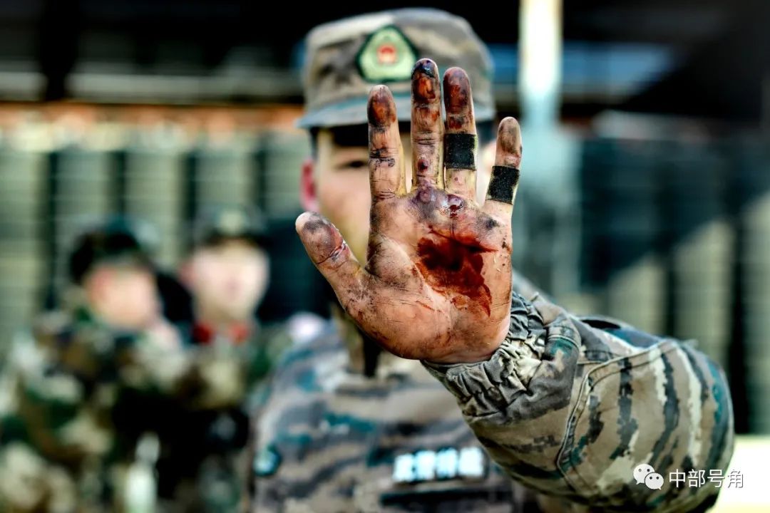 今天,请让他们的"手"刷屏!