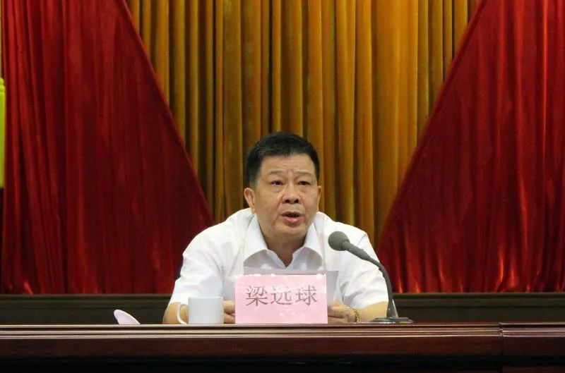 新会区基层政权建设中的一件大事关于区镇两级人大换届选举