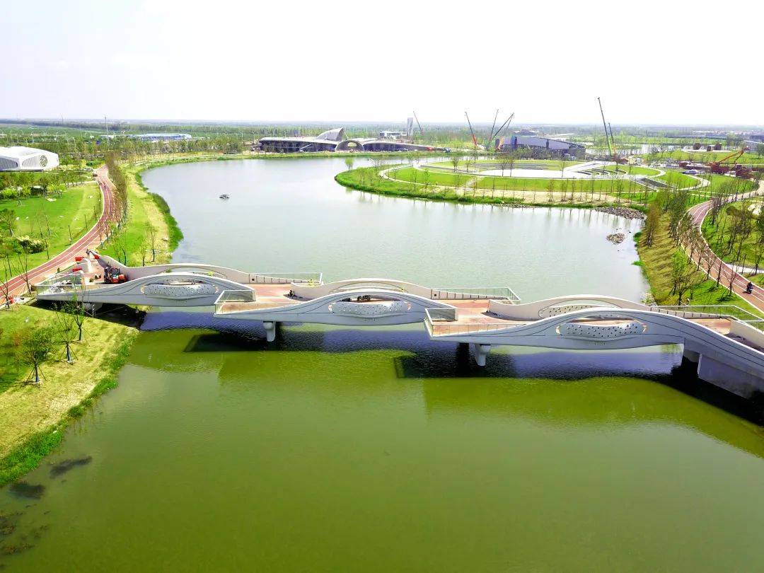 海绵上的星辰大海中国建设科技集团承建的上海最大的海绵公园开园试