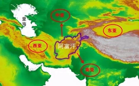 它爆了全球热搜，扒开来都是呻吟
