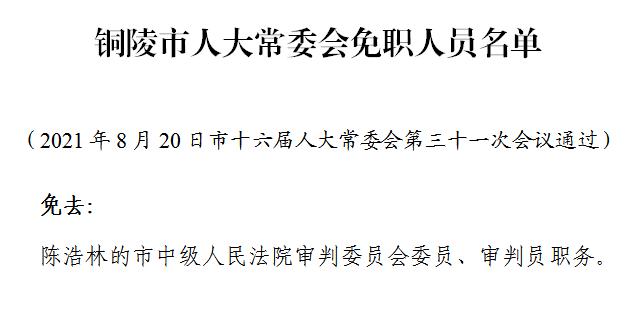 铜陵市人大常委会任免人员名单