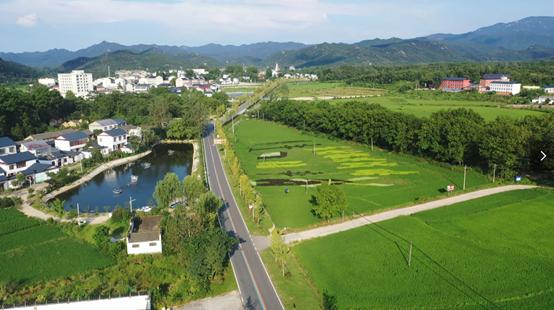 乡村颜值大地为布稻子黄时自然为画罗山的这个小村火了