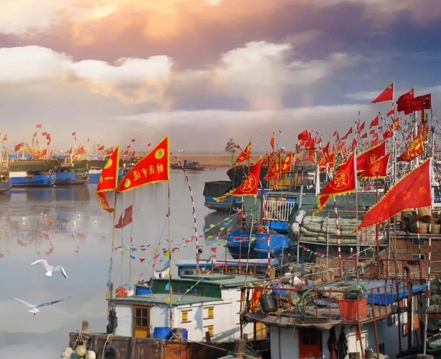 大美射阳邂逅灵动的初秋