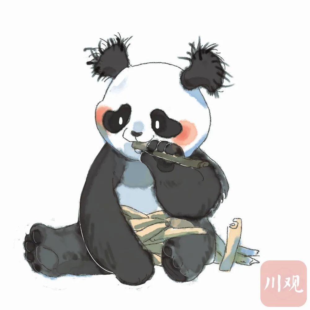 这颜值绝对是一只大熊猫因长相潦草走红成都大熊猫繁育研究基地近日