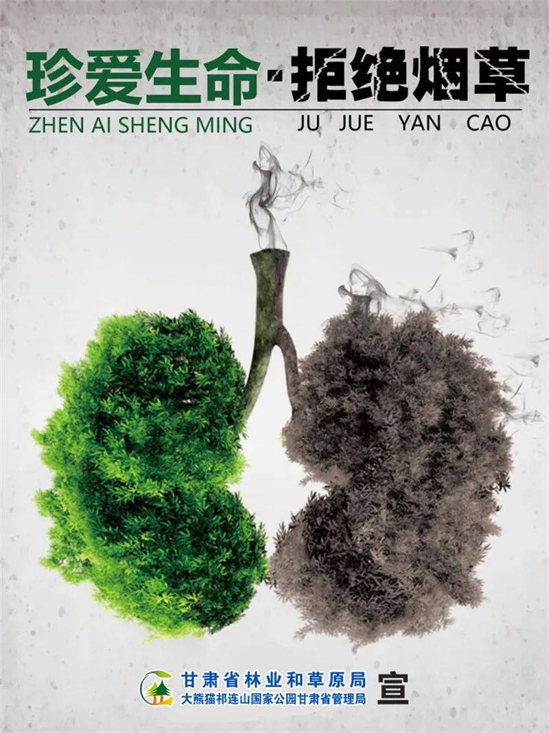 创建无烟党政机关珍爱生命拒绝烟草