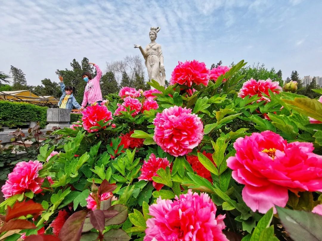 王城公園,中國國花園,隋唐城遺址植物園,大同坊遊園,牡丹公園,西苑