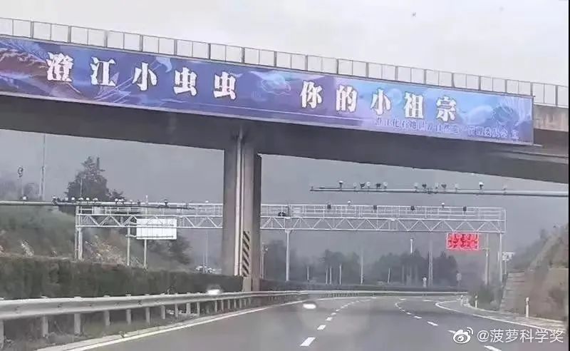 还记得要你叫“祖宗”的“澄江小虫虫”吗？