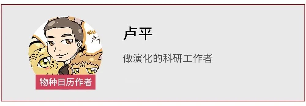 还记得要你叫“祖宗”的“澄江小虫虫”吗？