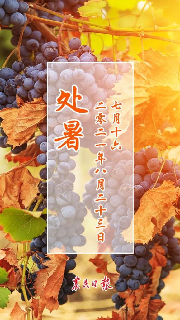 "北京时间8月23日5时35分农历七月十六日卯时月圆之夜过后处暑节气如