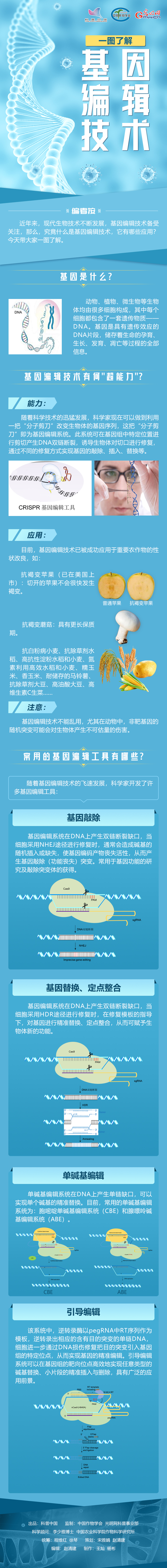 一图了解基因编辑技术