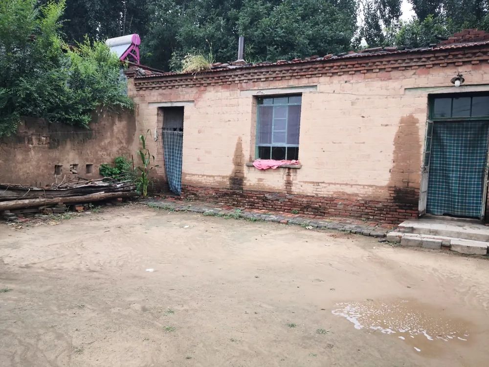 我为群众办实事我县团县委联系沧州市青企协会员走访贫困大学生