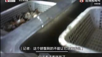 你吃的胖哥倆，可能是隔夜死螃蟹做的