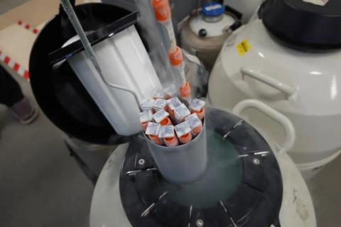 现场多图 视频,记者带你揭秘人类精子库!