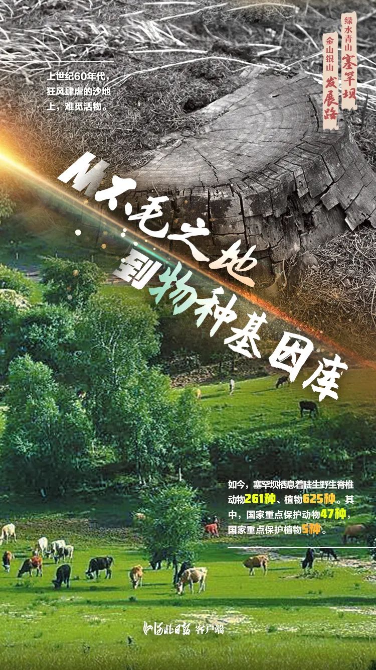 像展翅雄鹰,一弯深绿,俯瞰地球,2021-08-24 17:19承德市鹰