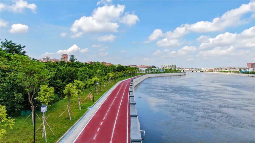 提高防洪能力道滘镇加快推进堤防达标建设工程