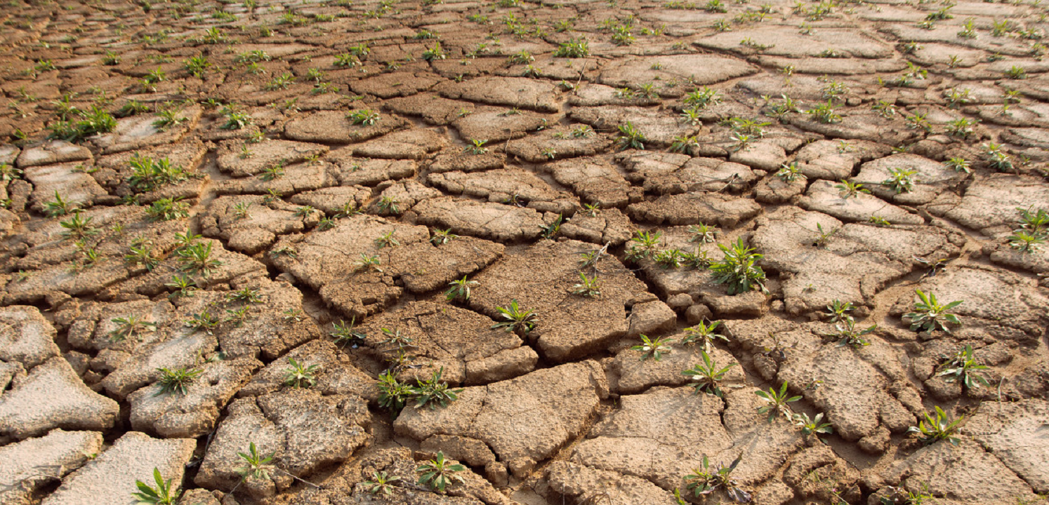西班牙正受荒漠化威胁900多万人已受影响