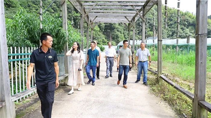 山有所呼 海有所应 | 象山遂昌协作共谋高质量绿色发展