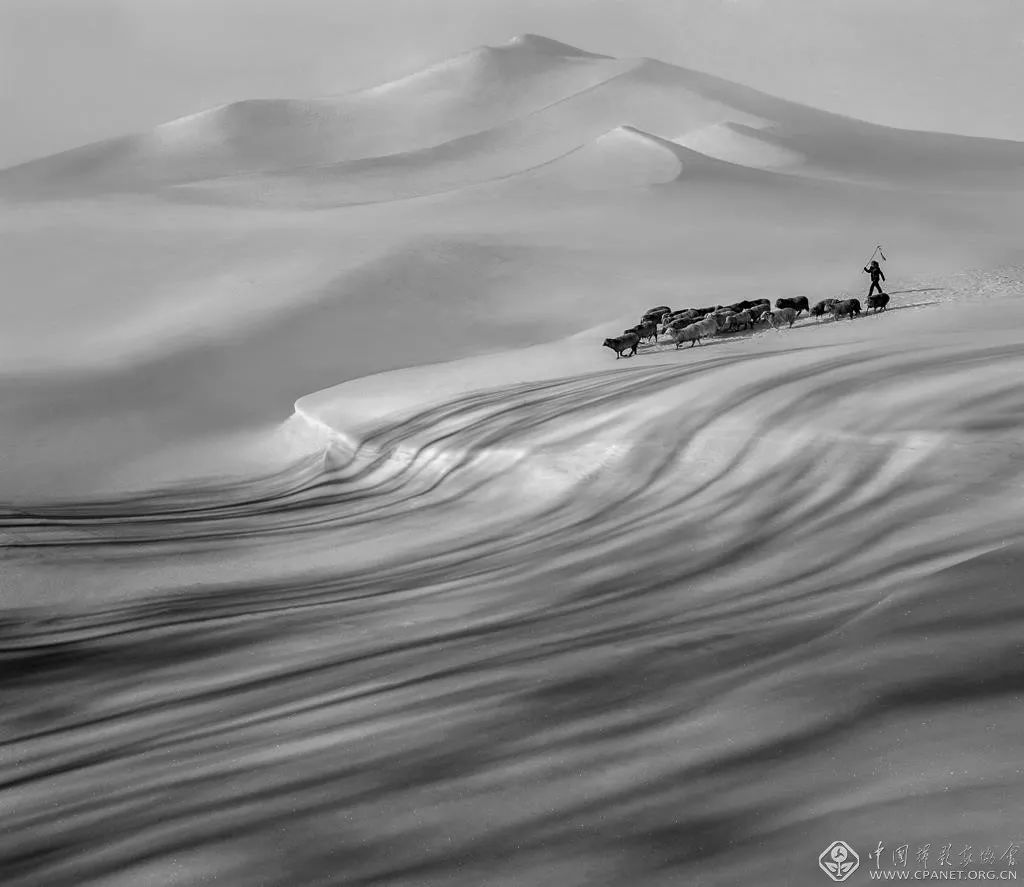 中国第18届国际摄影艺术展览入展作品公示公告