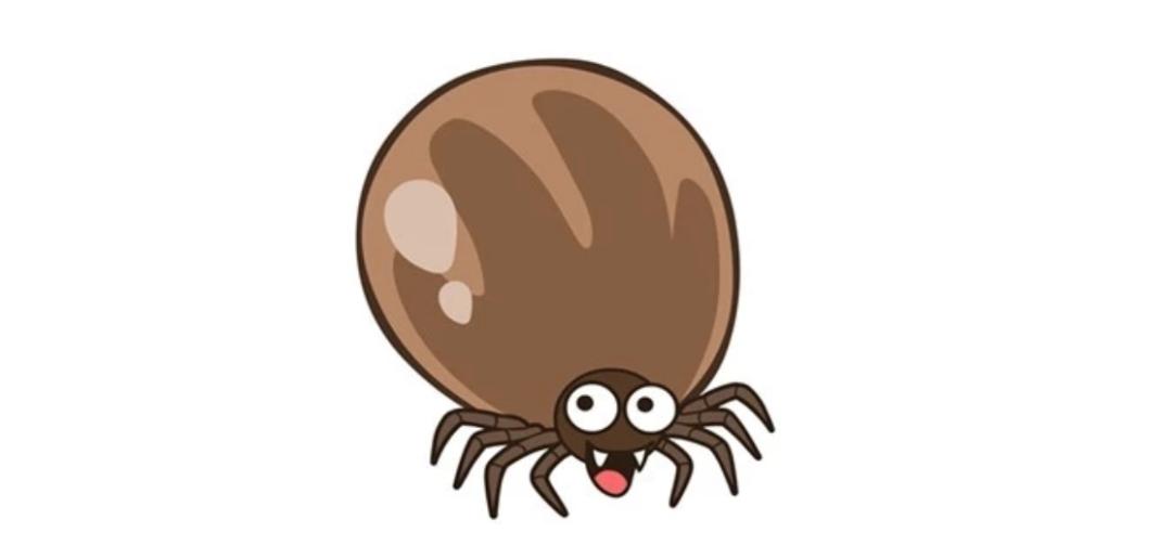 致命蜱虫咬出保险纠纷究竟属不属于意外死亡法院判了