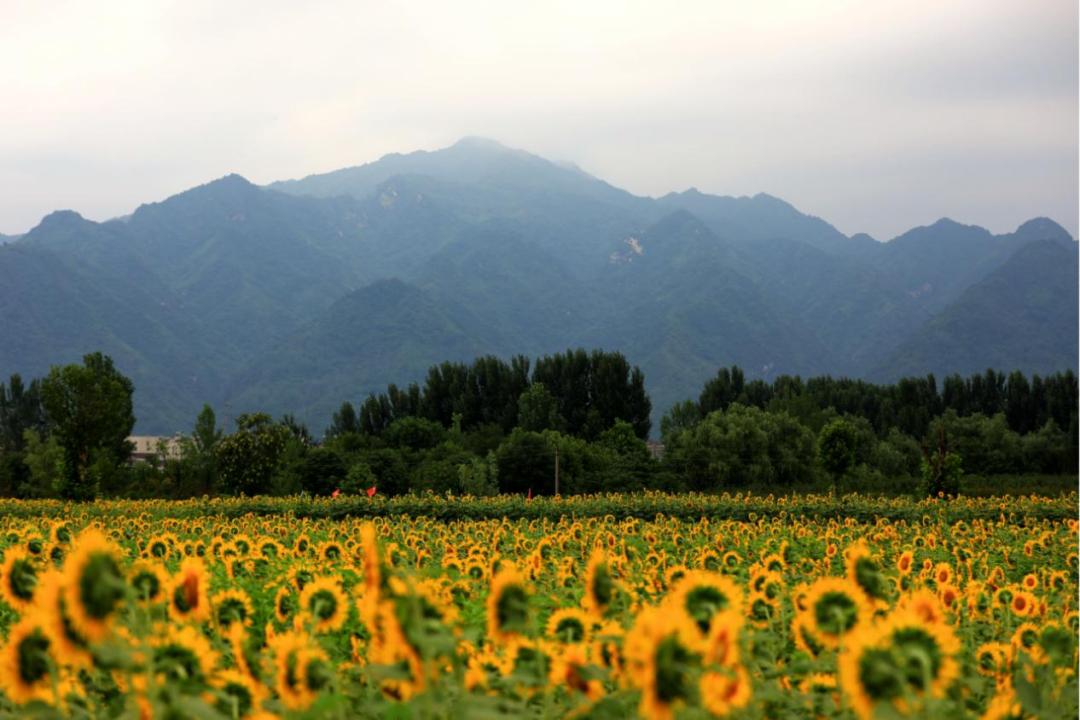 三新三高扬龙头四个高新擎宏图三品质高新