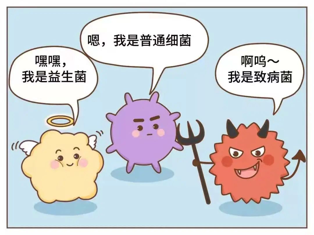 隔夜西瓜一口8400个细菌?还能吃吗?