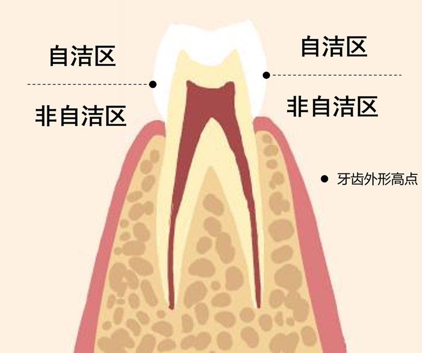 拂拭的拼音，拂拭的拼音是什么写的