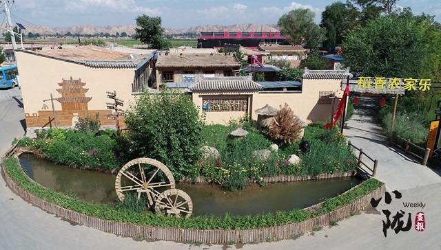 靖远瓜园村风起稻花香乡村入画来