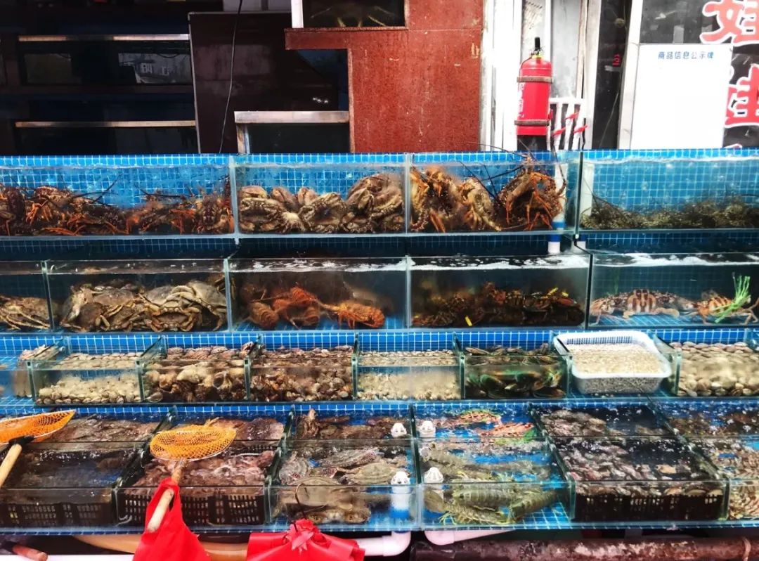 开海啦,敞开肚皮吃海鲜的日子来了