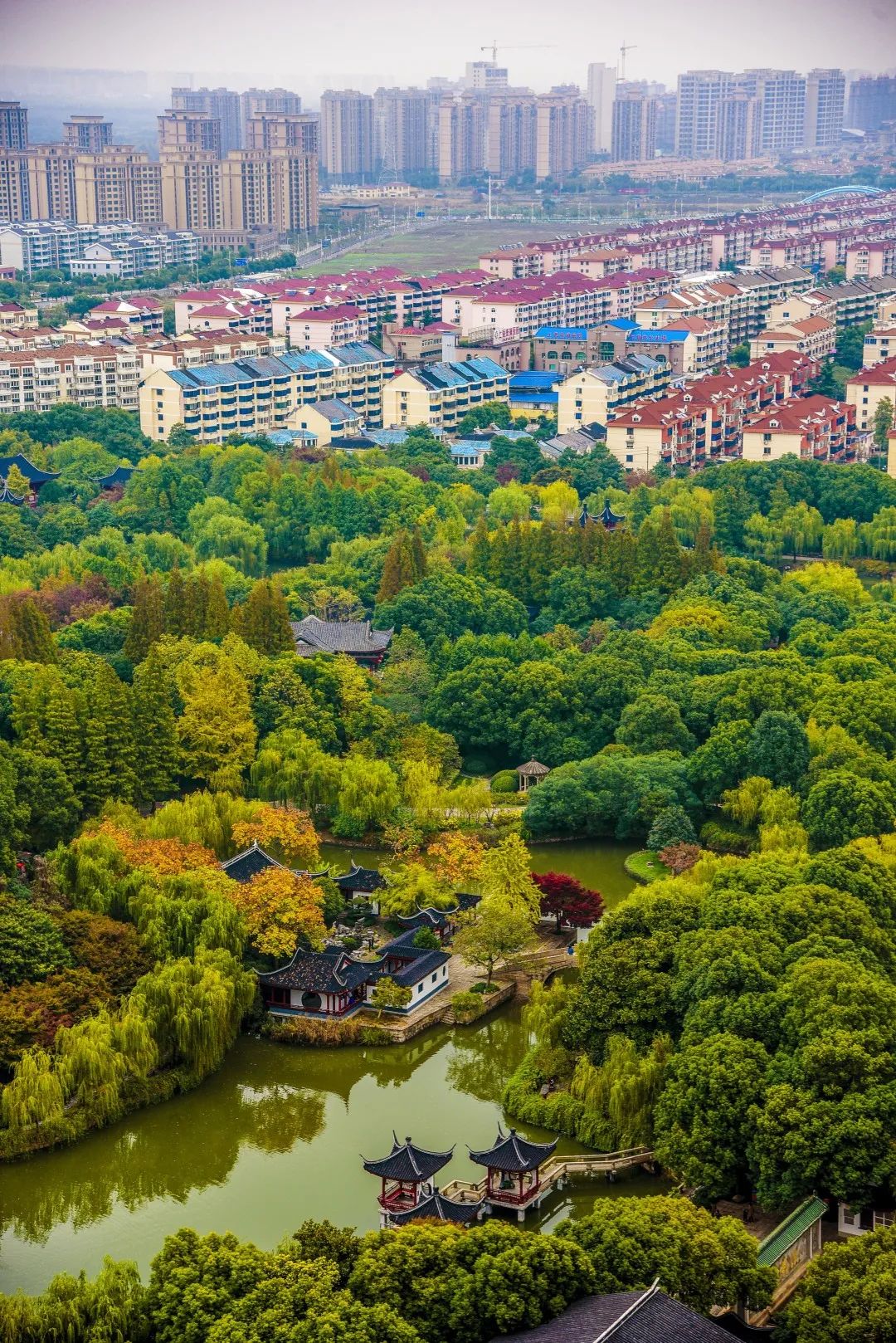 望园路森林大道    百座公园