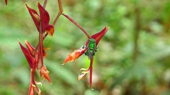 想要他的香水味？那就偷走他的一条腿