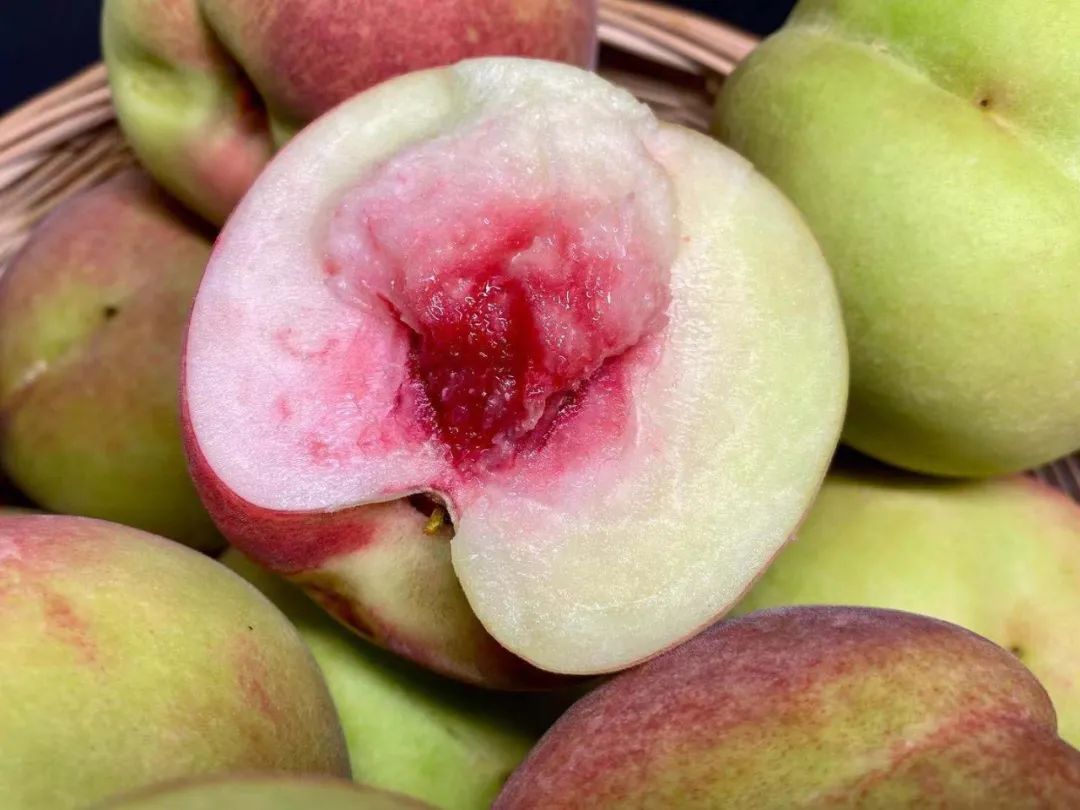 大又甜潍坊这里的桃子熟了约起来采摘路线快收好